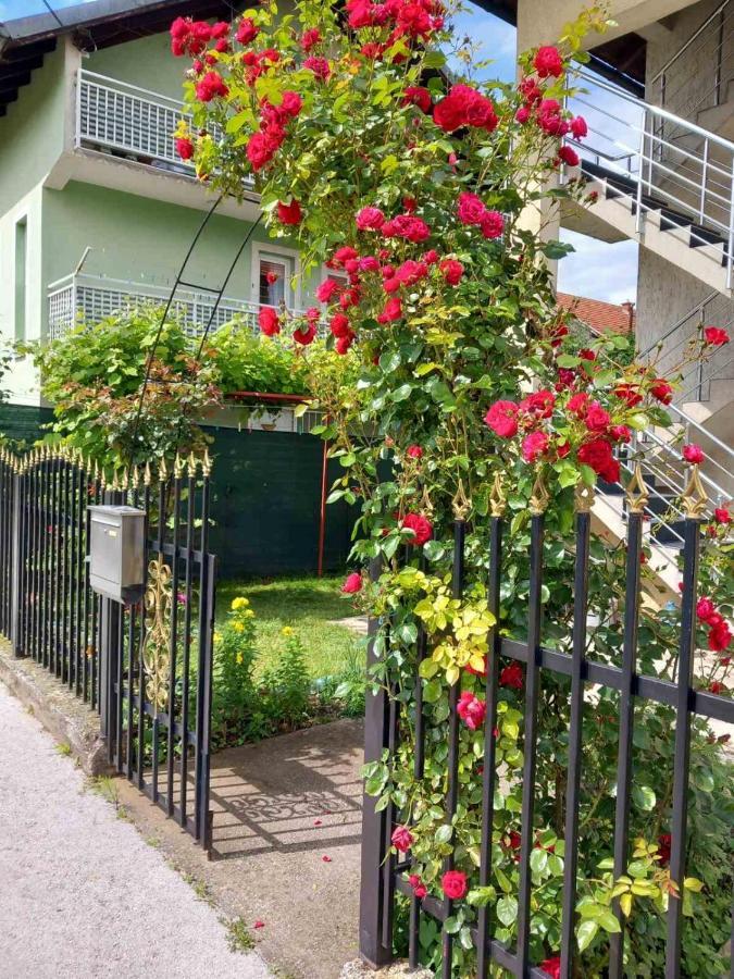 Holiday Suad Sarajevo